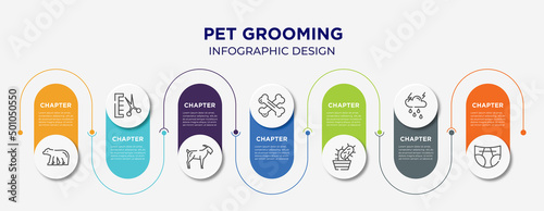 pet grooming concept infographic design template. included polar bear, groomer, goat, bones, cactus, thunderstorm, diapers icons for abstract background.