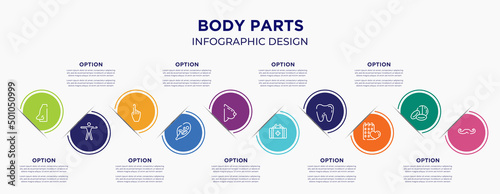 body parts concept infographic design template. included male e shape of a line, men, hand gesture raising the index finger, fetus in an uterus, bosom, first aid kit bag, tooth, null, mustache