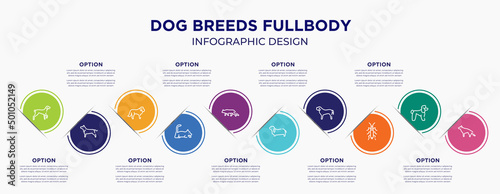 dog breeds fullbody concept infographic design template. included kurzhaar, american staffordshire terrier, st bernard, laying cat, snowshoe cat, bas hound, english mastiff, null, german sheperd for