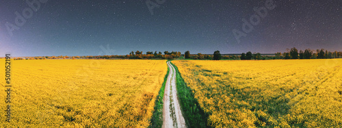 panorama  panoramic Elevated View Night Starry Sky Above Country road through Field With Flowering Blooming Oilseed Field. Glowing Stars Above Rural Landscape. Starry Sky and Country dusty sandy road