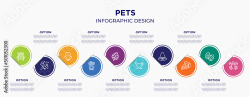 pets concept infographic design template. included ladybird, firework, toad, popcorn, monstera leaf, gravy, pirim, piece of cake, insect for abstract background.