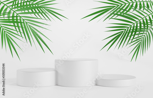 Abstract minimal scene with geometric forms. cylinder podium in white background with leaves. product presentation. 3d illustration.