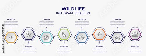 wildlife concept infographic template with 8 step or option. included crow, starfish, bow and arrow, kiwi, archery, zoo icons for abstract background.