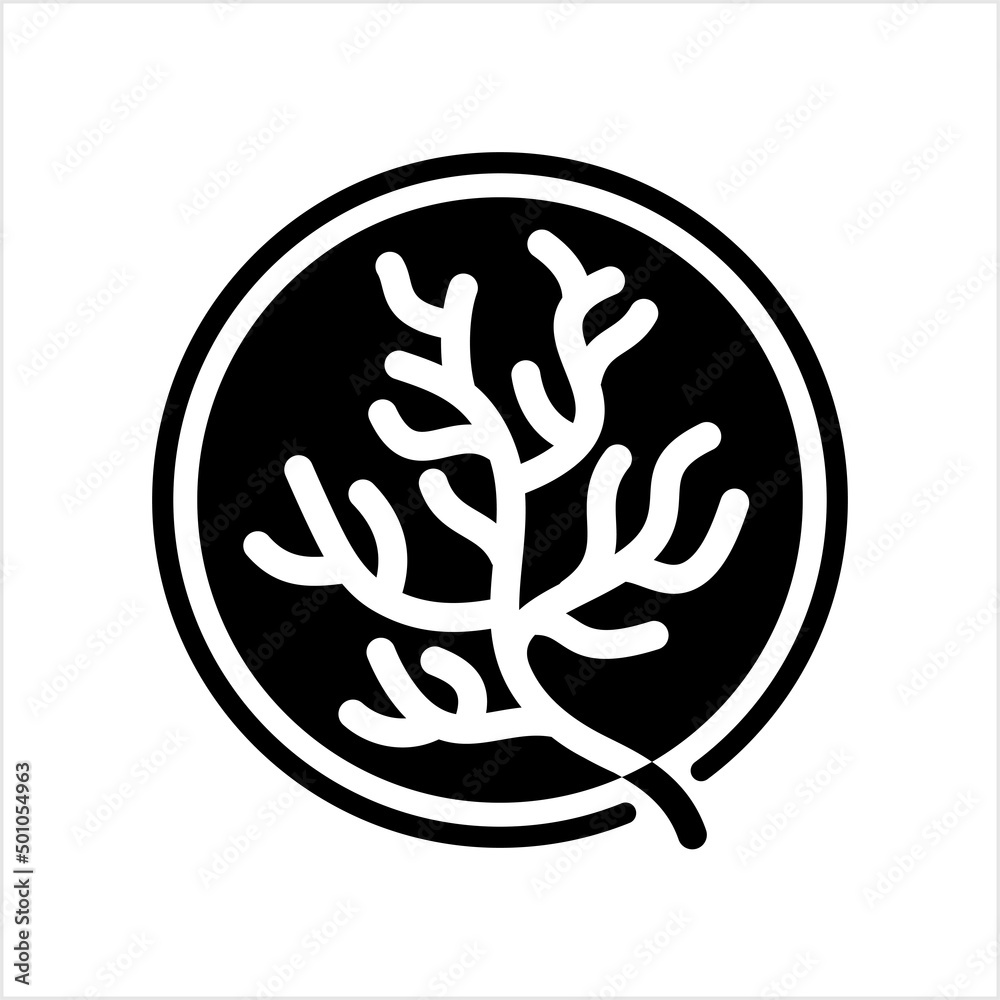 Coral Icon, Marine Invertebrates Coral Icon, Marine Invertebrates