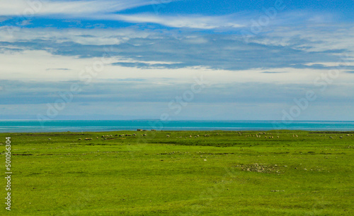 Qinghai Lake, Qinghai Province, China