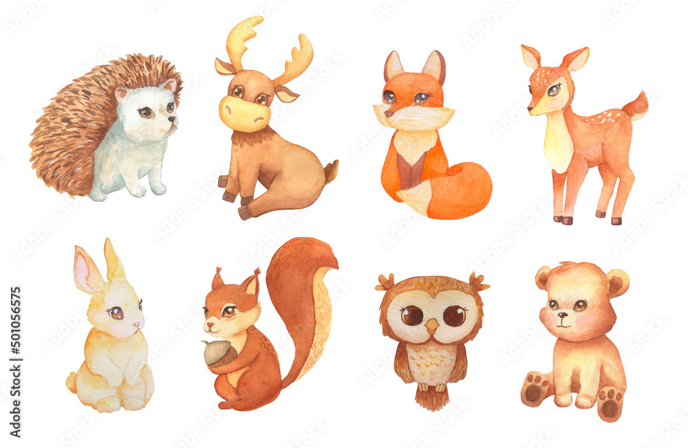 Illustration of watercolor cute hedgehog, bear, fox and deer. Hand drawn character forest animal isolated on white. Woodland illustration