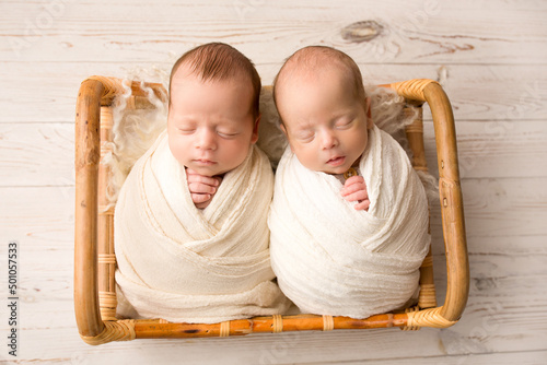 Konstfotografi Tiny newborn twin boys in white cocoons in a wooden basket with bear toys