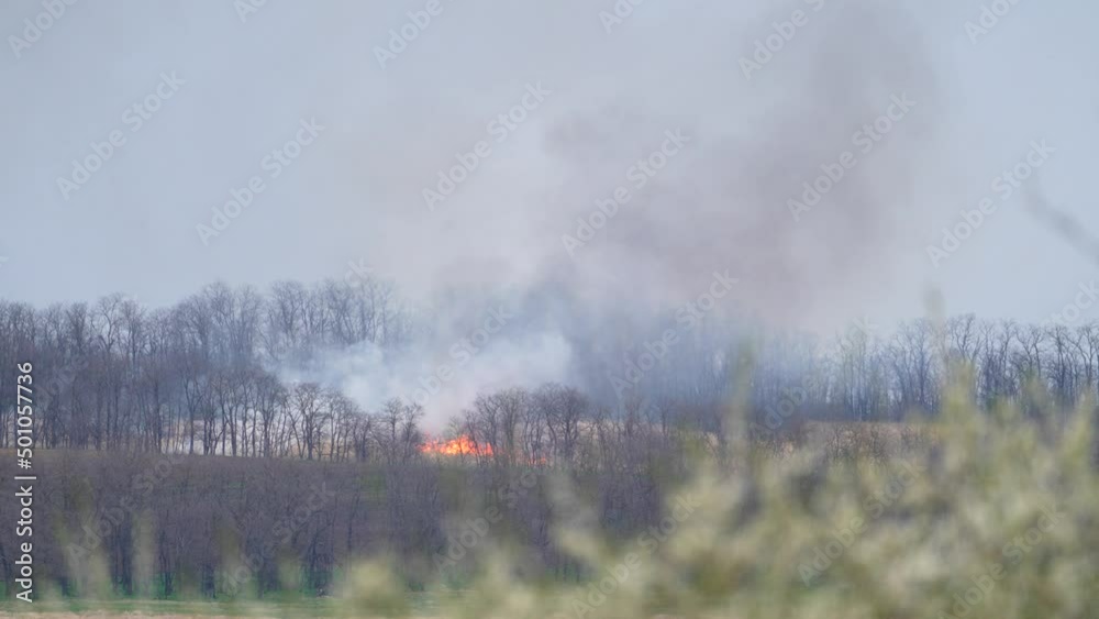 Fire in the field. Agriculture. Smoke. Dry grass is burning in the meadow. Fire destroys dry grass. Orange flames and swirling black smoke. Danger and natural disaster Fire in the field. Agriculture. Smoke. Dry grass is burning in the meadow. Fire destroys dry grass. Orange flames and swirling black smoke. Danger and natural disaster
