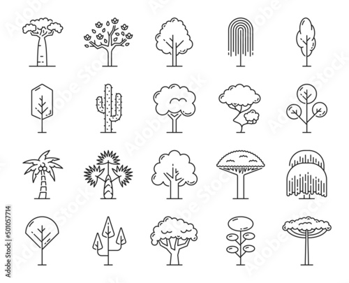 Leinwand Poster Tropical trees, outline icons of isolated beach, jungle forest and park trees, vector thin line symbols