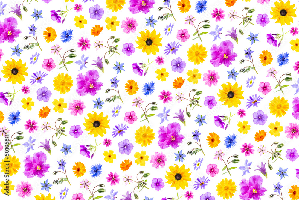 Bright pattern of colorful flowers on a white background, as a backdrop or texture. Spring, summer floral wallpaper for your design. Top view Flat lay Bright pattern of colorful flowers on a white background, as a backdrop or texture. Spring, summer floral wallpaper for your design. Top view Flat lay