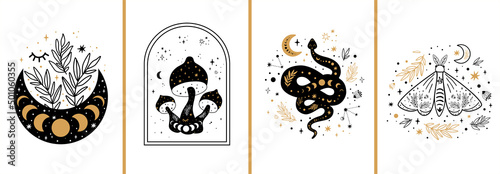 Celestial cards set. Mystical boho floral moon, mushroom, moth, moon serpent. Mystic celestial elements collection. Esoteric logo. Black gold color Witchcraft banner Floral snake vector illustration.
