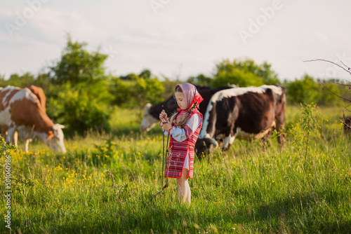 girl in a Ukrainian dress grazes cows on the lawn