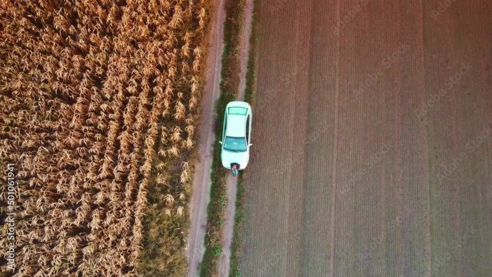 Farmer flying a drone over ripe cornfield analysing with new technology Farmer flying a drone over ripe cornfield analysing with new technology