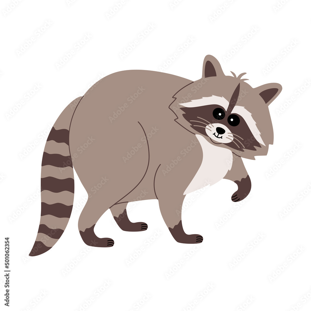 Cute raccoon with funny face. Adorable fluffy animal. Hand drawn color vector illustration isolated on white background. Modern flat cartoon style.