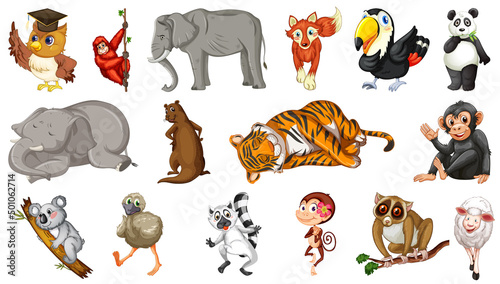 Many wild animals on white background