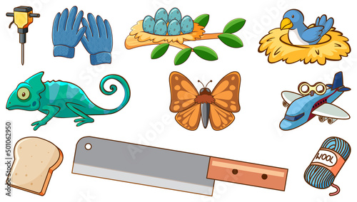 Different objects and animals on white background