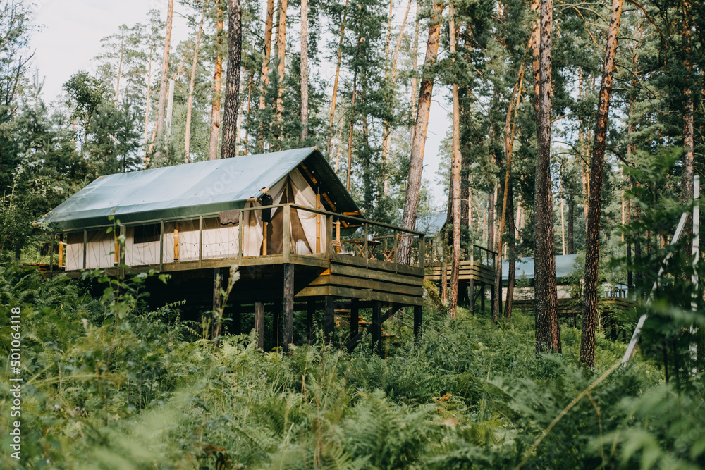 Glamping site in the pine forest. Summer day Glamping site in the pine forest. Summer day