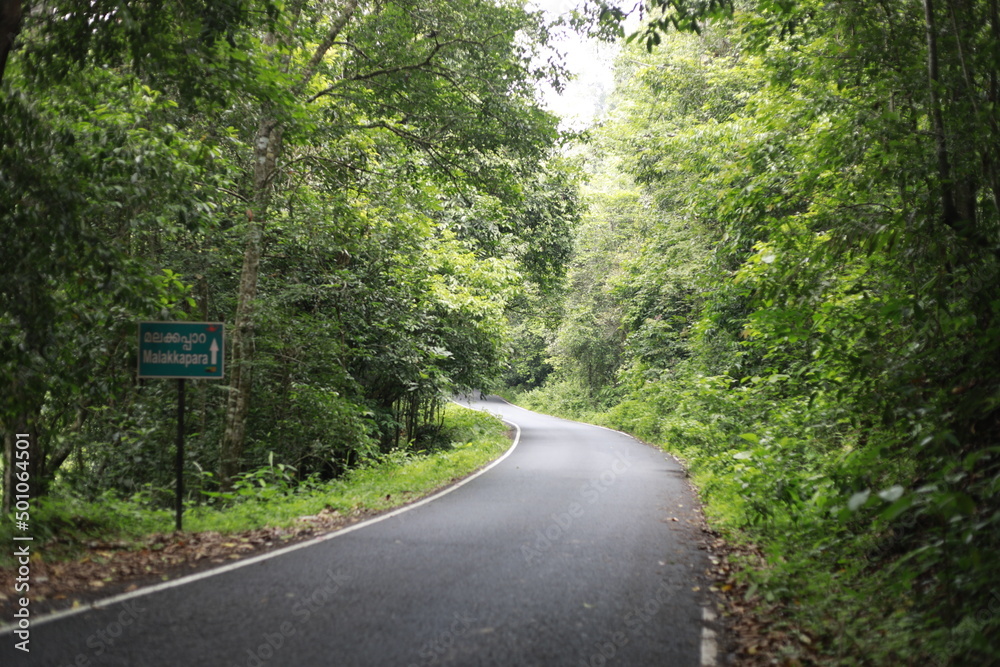 a road winding through the dense forest of a mountainous village a road winding through the dense forest of a mountainous village