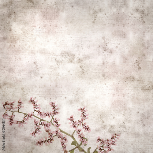 square stylish old textured paper background with pale pink flowers og Limonium pectinatum sea rosemary 