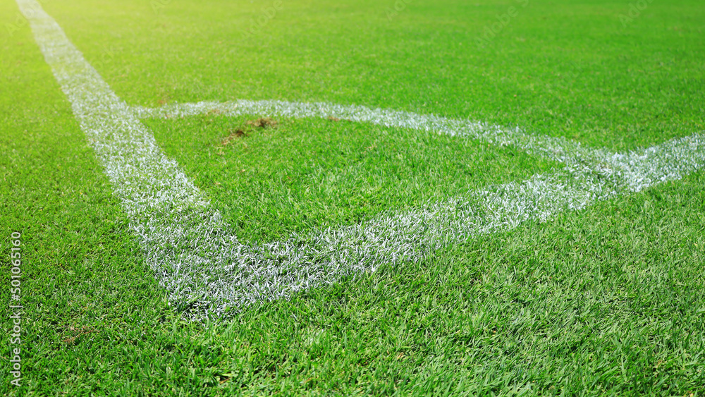 The white line on the green grass field in the football field shows the boundary of the corner. corner kick.