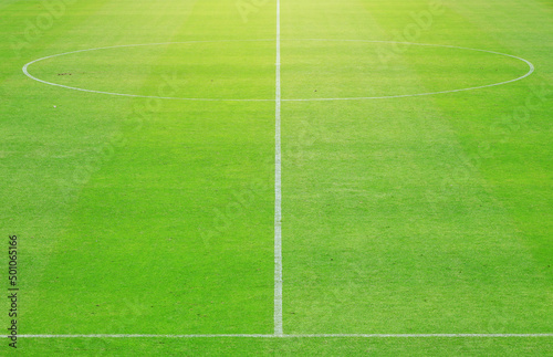 A white line and a circle define the center boundary of a football or soccer field.