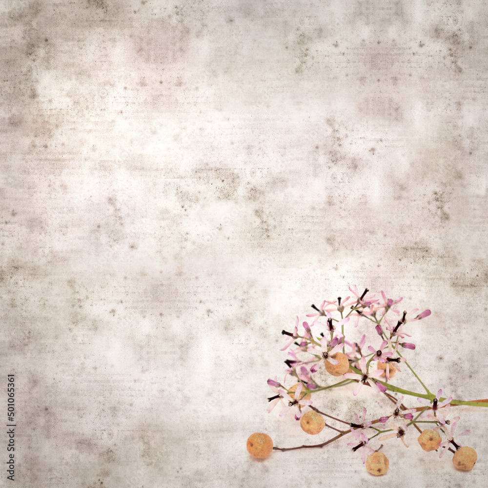 square stylish old textured paper background with pale lilac flowers of Melia azedarach, chinaberry tree
square stylish old textured paper background with pale lilac flowers of Melia azedarach, chinaberry tree