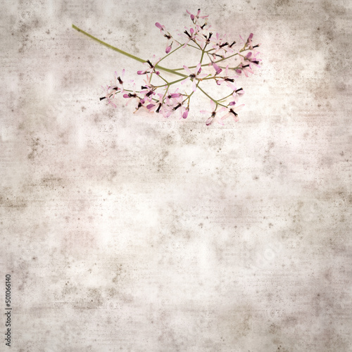 square stylish old textured paper background with pale lilac flowers of Melia azedarach, chinaberry tree   © Tamara Kulikova