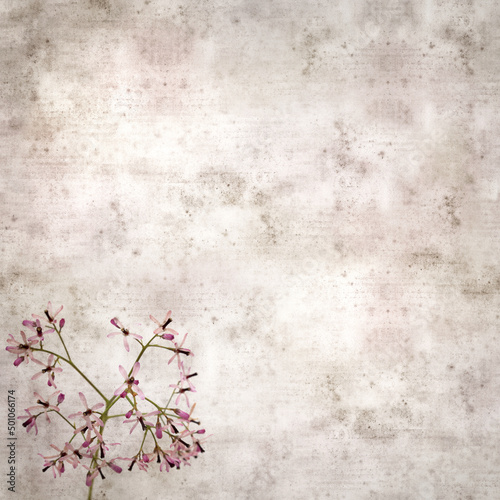 square stylish old textured paper background with pale lilac flowers of Melia azedarach, chinaberry tree 