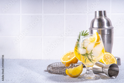Obraz na plátne Infused rosemary lemon drink