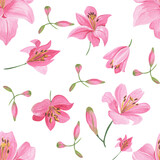 Seamless pattern of pink lilies