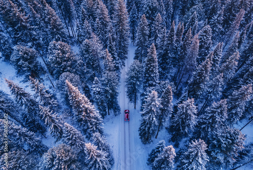 Red car driving on winding road through snowy forest, toning blue. Concept winter travel, aerial view