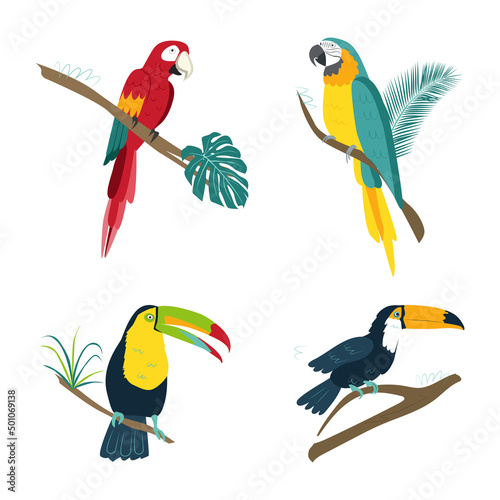 Vector tropical birds parrots. Macaw, rainbow toucan. Isolates on a white background in a hand-drawn style for decoration