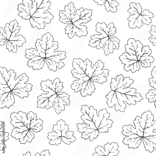 Seamless black and white texture of the leaves of a perennial plant. Isolated contour of Heucherella foliage for printing on fabric, paper.