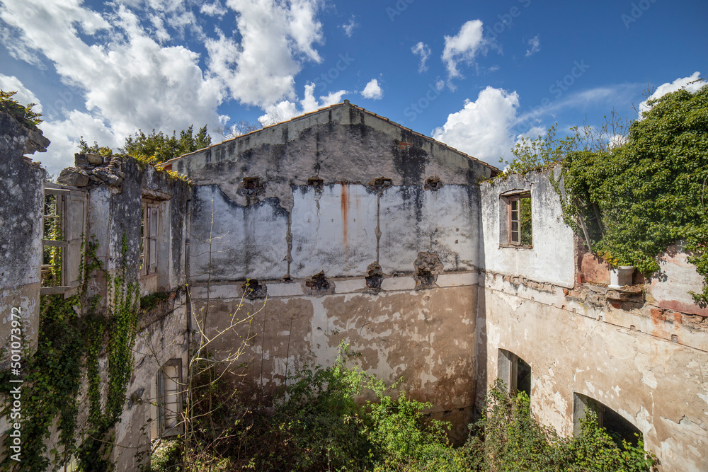ruins of the interior of a house without a roof. abandoned home. vegetation grows inside.