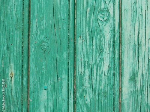 Planches d une vieille porte ou d une barri  re en bois peinte en vert