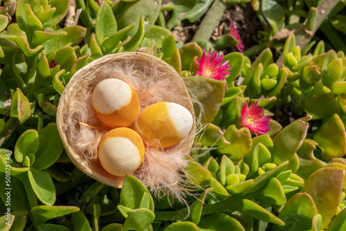 Happy Easter Celebration Ornament concept: Three Eggs in a nest on floral meadow background. Colorful festive banner. Copy space. Beautiful postcard with Easter decoration in nature at spring. 