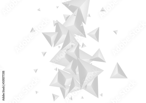 Fototapeta Naklejka Na Ścianę i Meble -  Grizzly Shard Background White Vector. Crystal Realistic Card. Greyscale Volume Design. Fractal Shadow. Hoar Triangle Illustration.