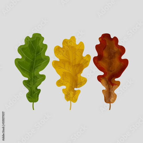 oak leaves of various shades
