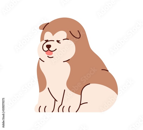 Cute Chinese Alaskan Malamute sitting. Funny adorable puppy. Lovely canine an...
