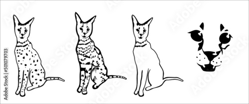 cat, logo, serval, leopard cat, one line, vector, animal, feline, cutie, mimi, domestic animals, pet,