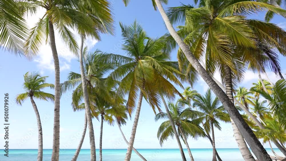 Natural tropical Sea Beach landscape. Crystal clear sea wave and white sand beach. Most beautiful beaches in the world. Relax on clean sunny Sea Beach Natural tropical Sea Beach landscape. Crystal clear sea wave and white sand beach. Most beautiful beaches in the world. Relax on clean sunny Sea Beach