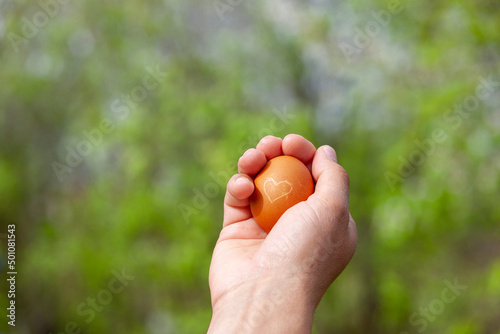 Ei mit Herz von Händen gehalten