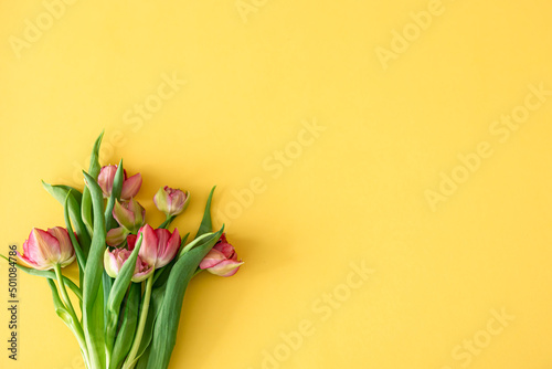 Fototapeta Naklejka Na Ścianę i Meble -  Flat lay, tulips on a colored background.