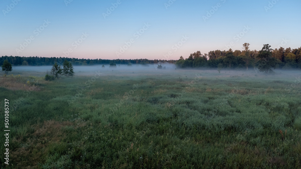 Photo of rural meadow in the morning mist
