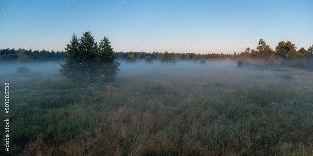 Calm morning in the countryside. Small field near the river in morning fog