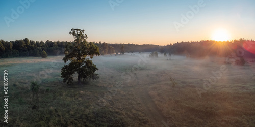 Morning sun in the valley. Light morning fog on the ground © Vitalii