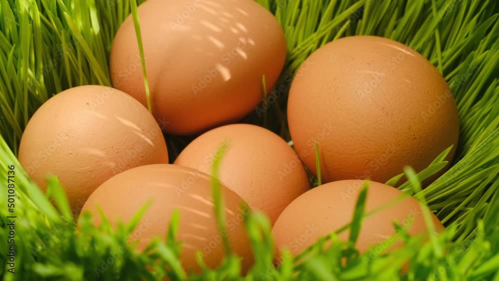 Chicken egg, rotation shot, Chicken fresh raw eggs.Healthy fresh food ingredients for breakfast. Animal products. Grocery. Chicken farm fresh eggs Chicken egg, rotation shot, Chicken fresh raw eggs.Healthy fresh food ingredients for breakfast. Animal products. Grocery. Chicken farm fresh eggs