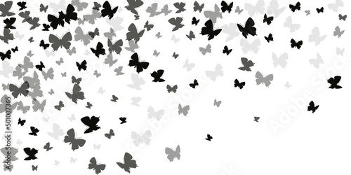 Exotic black butterflies abstract vector illustration. Spring funny moths. Fancy butterflies abstract fantasy background. Tender wings insects graphic design. Tropical beings.