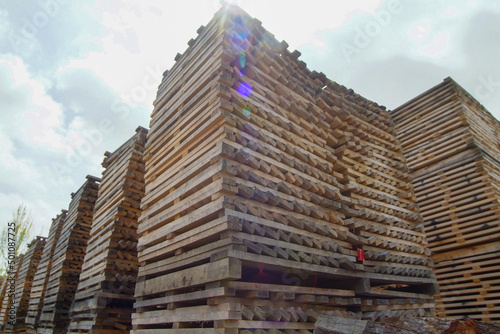 Maderas para la construcción de barricas de roble en La Puebla de Labarca, Álava, País Vasco. photo
