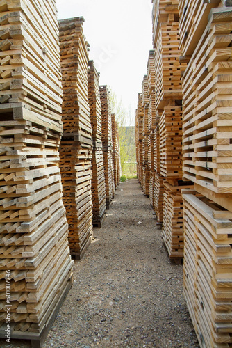 Maderas para la construcción de barricas de roble en La Puebla de Labarca, Álava, País Vasco.